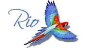 Rio Driving School