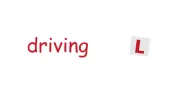 The Driving Skool